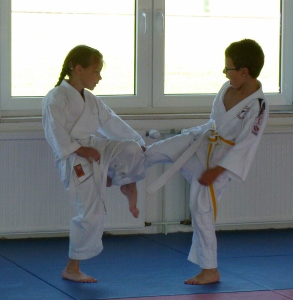 Sommerfest und Vereinsmeisterschaft am 23. Juni 2012