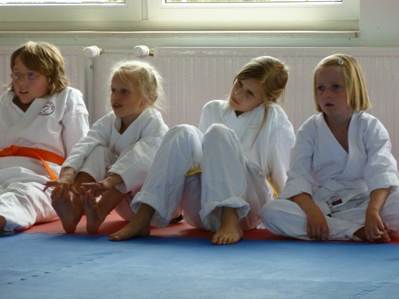 Sommerfest und Vereinsmeisterschaft am 23. Juni 2012