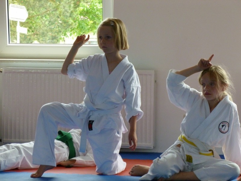 Sommerfest und Vereinsmeisterschaft am 23. Juni 2012