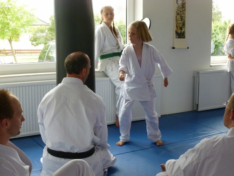 Sommerfest und Vereinsmeisterschaft am 23. Juni 2012