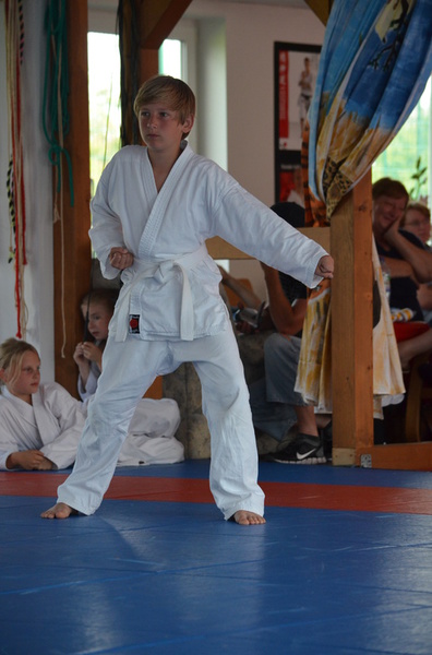 Sommerfest Juli 2014