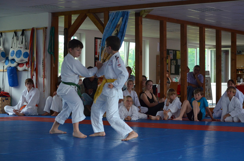 Sommerfest Juli 2014