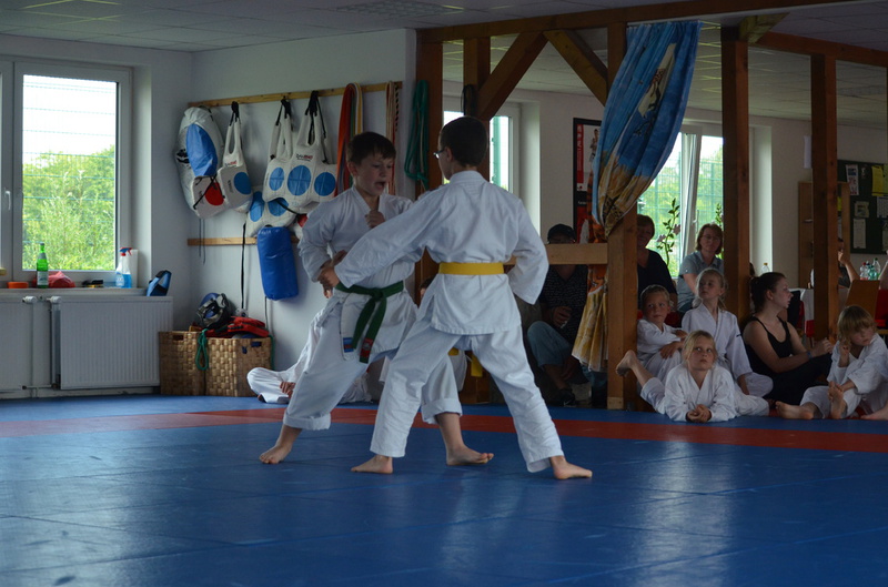 Sommerfest Juli 2014