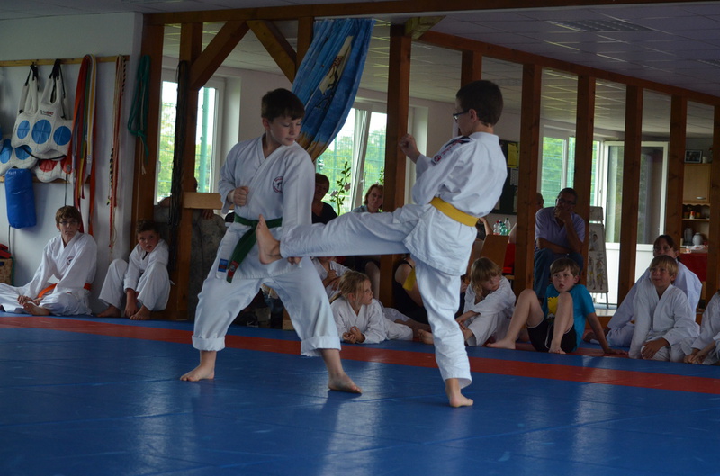 Sommerfest Juli 2014