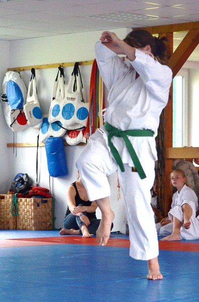 Sommerfest Juli 2014