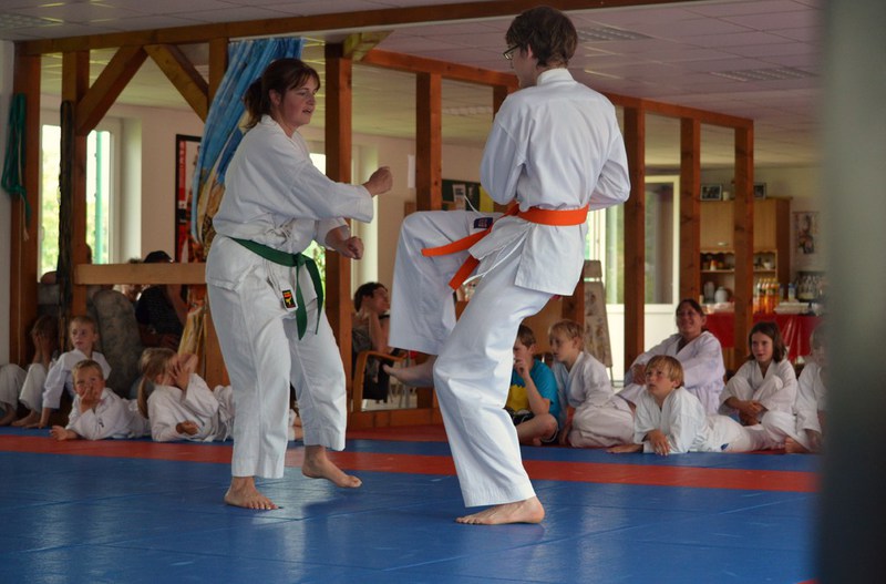Sommerfest Juli 2014