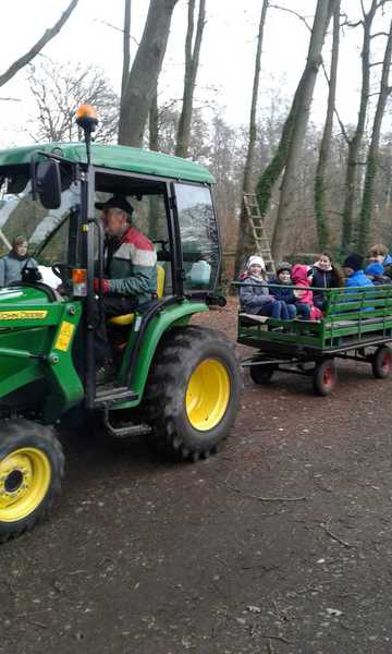 Sommerfest im Winterwald