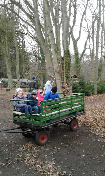 Sommerfest im Winterwald