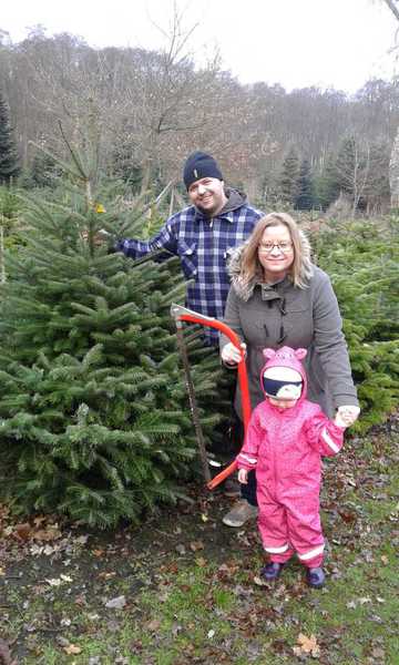 Sommerfest im Winterwald