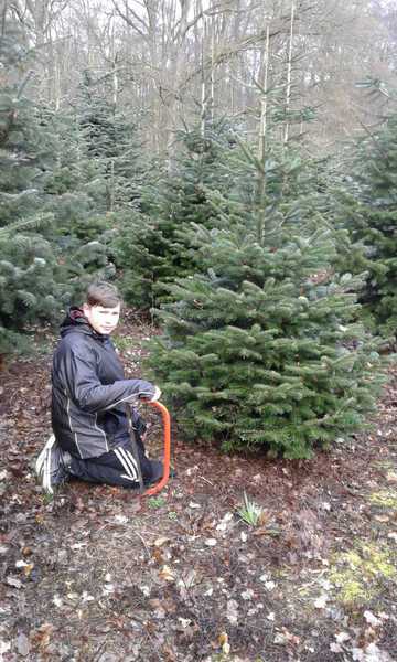 Sommerfest im Winterwald