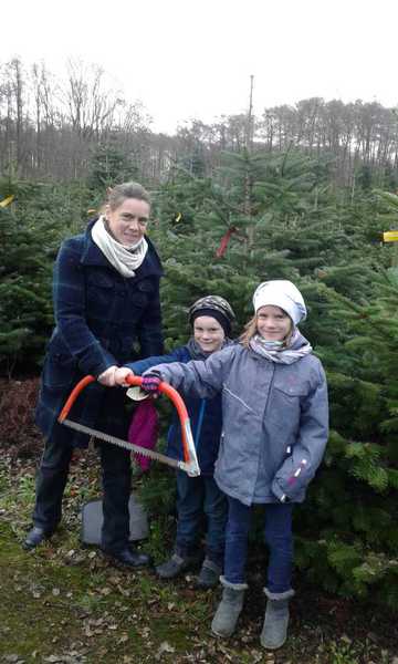 Sommerfest im Winterwald