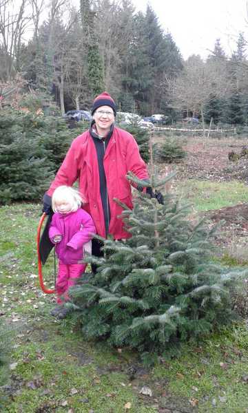 Sommerfest im Winterwald
