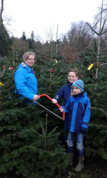 Sommerfest im Winterwald
