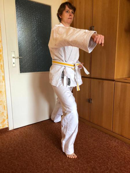 März,April,Mai... 2020 Karate und Corona