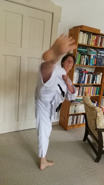 März,April,Mai... 2020 Karate und Corona