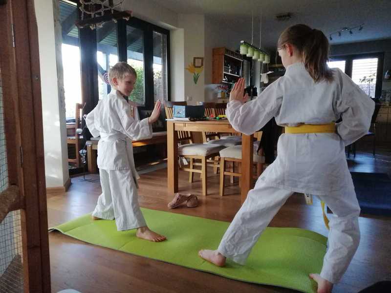 März,April,Mai... 2020 Karate und Corona