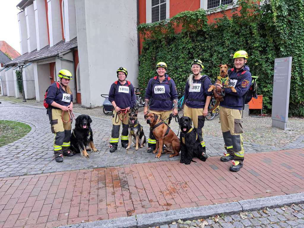 ONW-Lauf in Dannenberg - das Dojo läuft endlich wieder