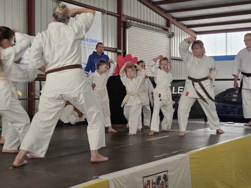 Vorführung des Dojo auf der Gesundheitsmesse